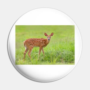 Fawn - White-tailed deer Pin