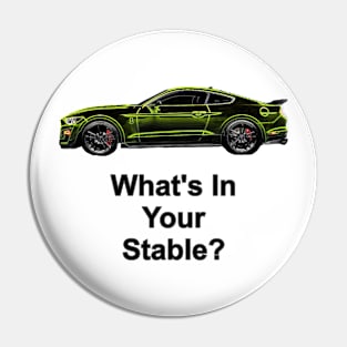 What's in your stable? (neon) Pin