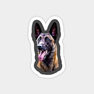 Belgian malinois Shepherd Magnet