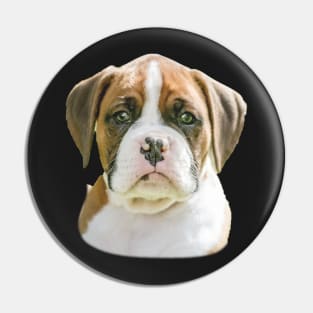 Flashy Fawn Boxer puppy Pin