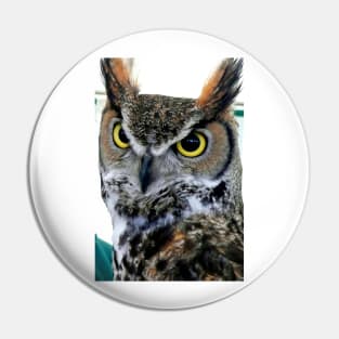 Great Horned Owl Bird Of Prey Pin