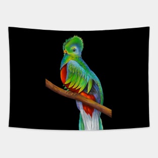 Quetzal Tapestry