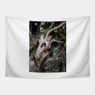 Tree Bark Mirage. Horse head. Tapestry