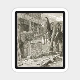 Elephants running amok in the city 1900 Magnet