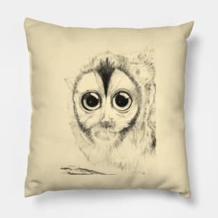 Andean Monkey Pillow