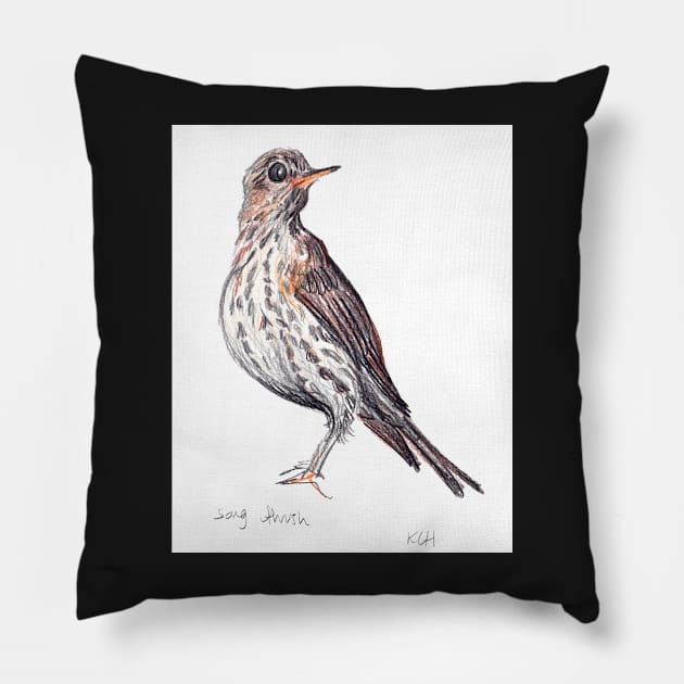 Song Thrush Pillow by sadnettles