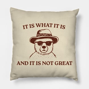 It Is What It Is And It Is Not Great Pillow