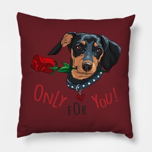 Dog breed Dachshund with red flower Pillow