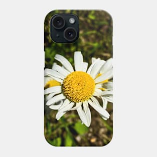 Daisy, Daisy Phone Case