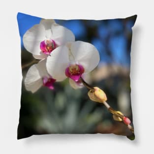 White Orchid Trio Pink Centers Pillow