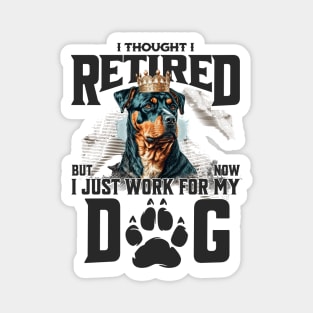 I thought I retired but now I just work for my dog Magnet