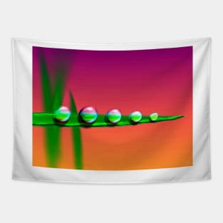 Water Drops on Grass Tapestry