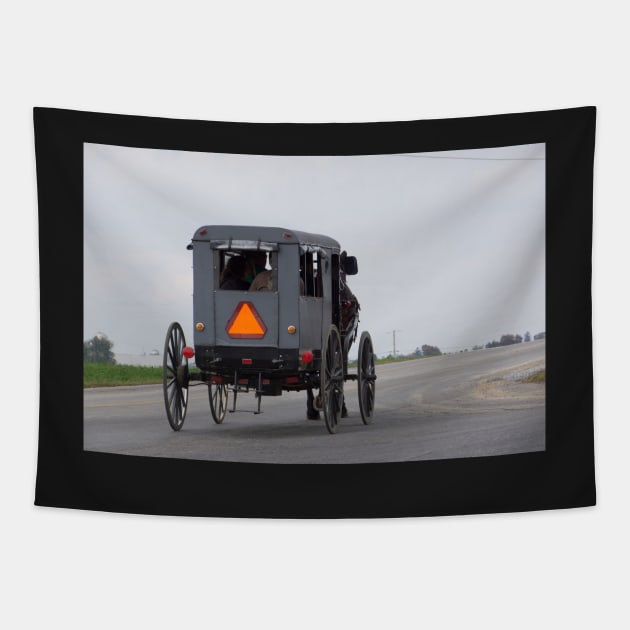 amish buggy Tapestry by sma1050