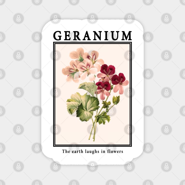 Geranium - Vintage Postcard Magnet by j.adevelyn