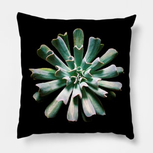 Echeveria Topsy Turvy Pillow