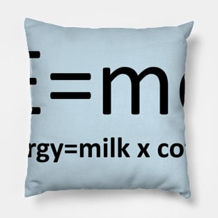 E=mc2 Pillow