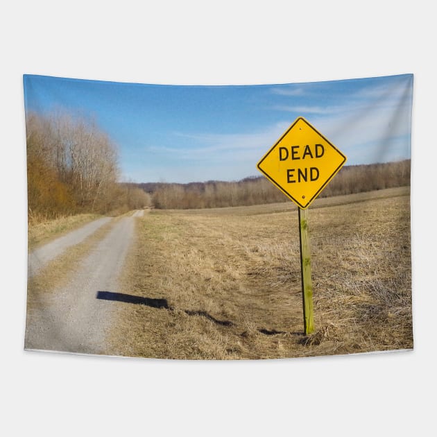 Dead End Sign Photograph Tapestry by shanestillz