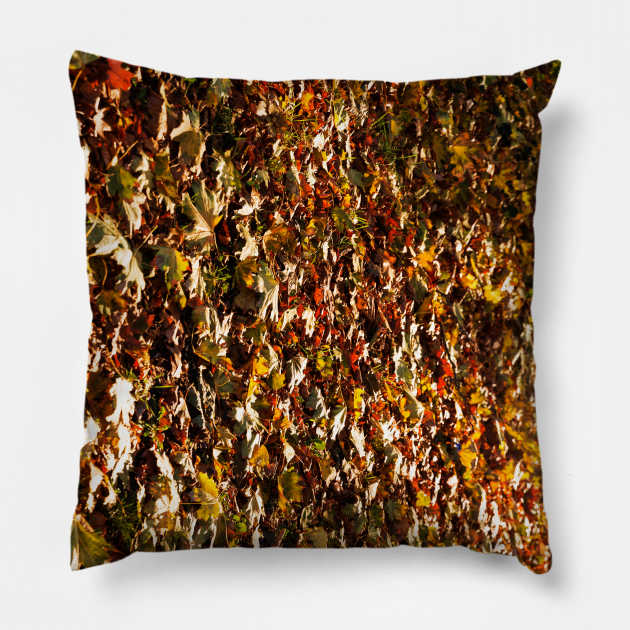 Autumn Leaves Fallen On To Forest Surface Pillow by textural