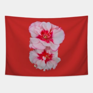 Two tone geranium flowers Tapestry