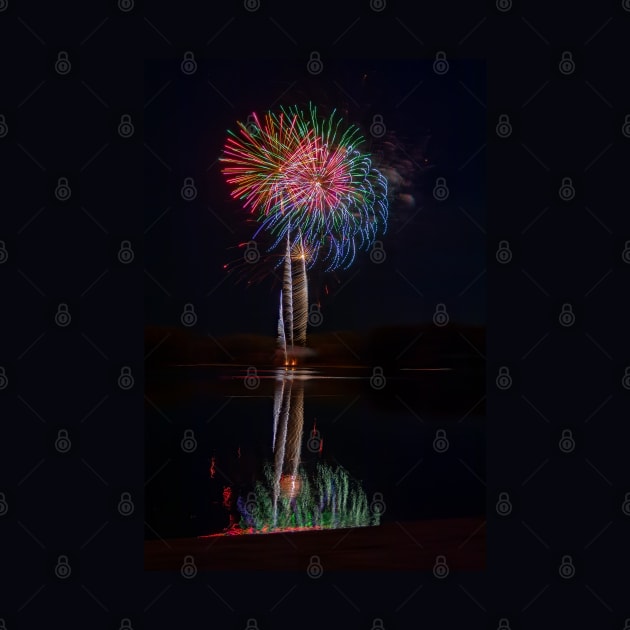 Feathery Fabulous Fireworks and Reflections by SafariByMarisa