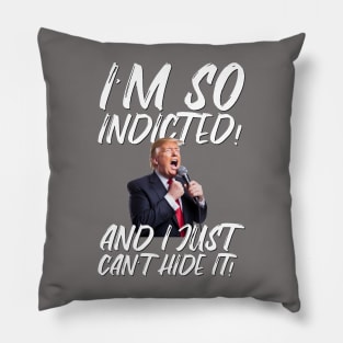 Trump Indictment Pillow