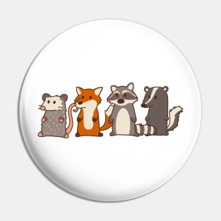 opossum, fox, raccoon and skunk woodland friends Pin