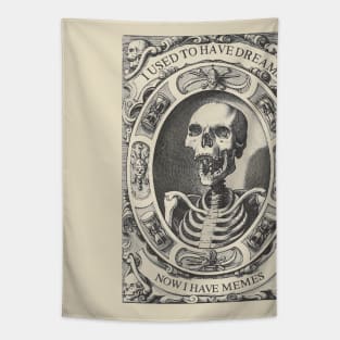 I Used To Have Dreams - Now I Have Memes ∆ Funny Nihilist Statement Design Tapestry