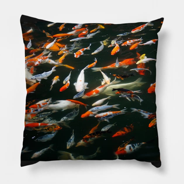 Fish Frenzy Pillow by jwwallace