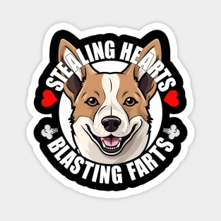 Funny Canaan Dog Stealing Hearts Blasting Farts Puppy Magnet