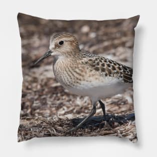 Baird (Sandpipers) on the Beach Pillow