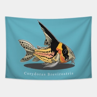 Corydoras Brevirostris Tapestry