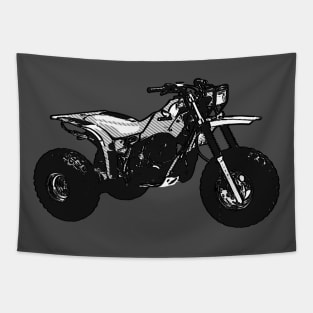 1984 ATC 250R Tapestry