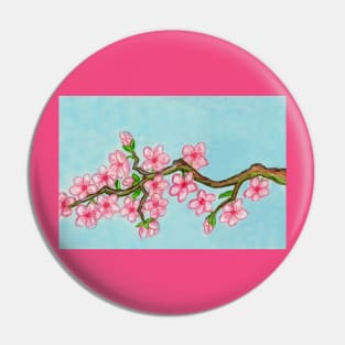 Branch with pink cherry flowers on blue Pin