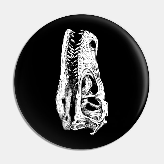 Raptor skull for science Pin by paintchips