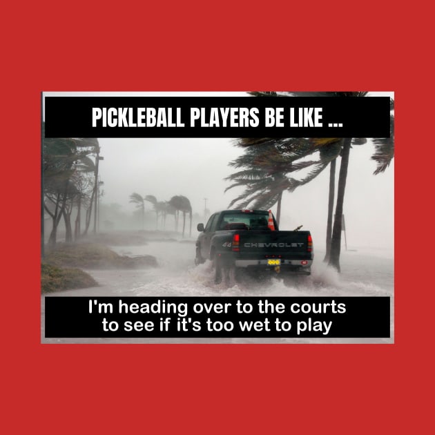 Pickleball - Courts Are Too Wet to Play by numpdog