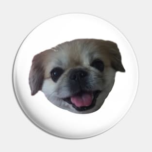 Lucy fur Real - pekingese dog Pin