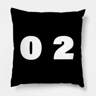 2021 new year Pillow