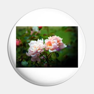 Rose Garden Pin