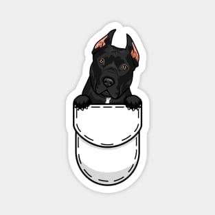 Pit Bull Terrier Pocket Dog Magnet