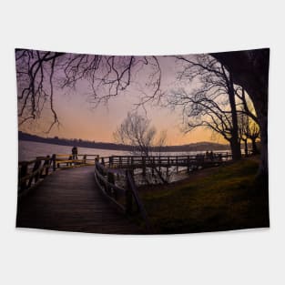 Sunset landscape photography lakeview Tapestry