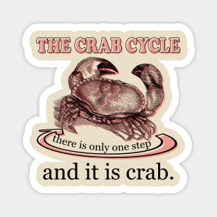 The Crab Cycle Magnet