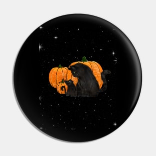 Pumkin Patch Cats Pin