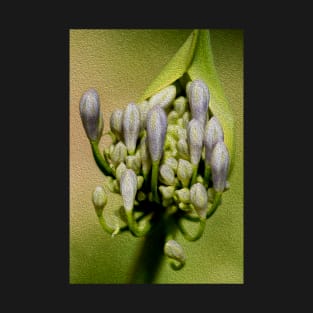 Agapanthus T-Shirt