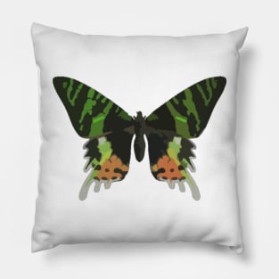 Madagascan Sunset Moth Digital Painting Pillow