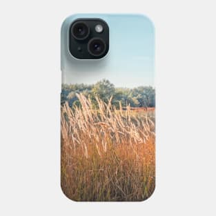 Autumn picturesque landscape Phone Case