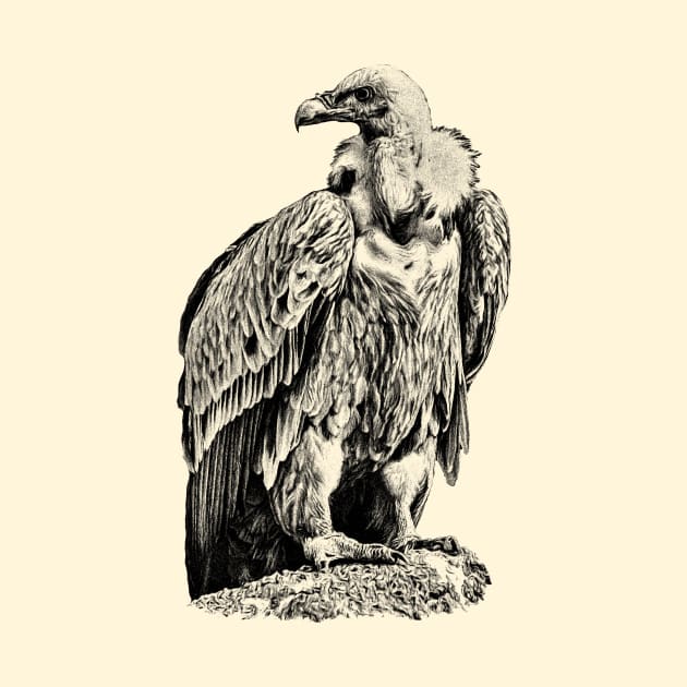 Vulture by Guardi