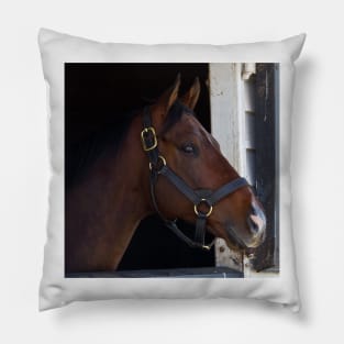 Room with a View Pillow