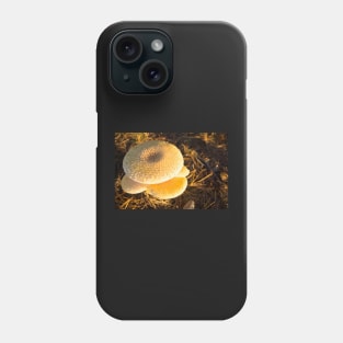 mushrooms Phone Case