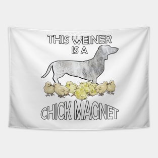 Dachshund Lover Cute Funny Doxie Quote This Weiner Is A Chick Magnet Tapestry