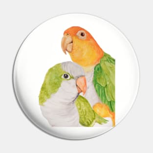 Tropical Caique Quaker Parrot Watercolor Art Pin